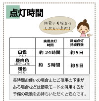 1000lmランタン
