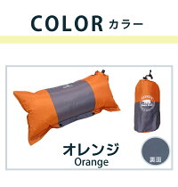 pillow7302_color_or