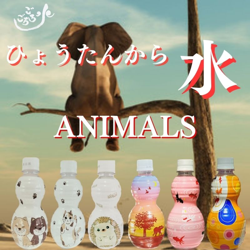 ひょうたんから水 パール　350ミリリットル×6本入　ごろごろ水　奈良　名水100選　ミネラルウォーター　今ならストラッププレゼント中！！ gorogoromizu-10000041 名水の里楽天市場店 サンプル画像3