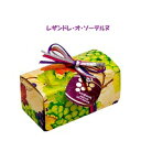 レザンドレ・オ・ソーテルヌRAISIN DORE　AU　SAUTERNES（50g・化粧箱入） ギフト/バレンタイン/ホワイトデー/チョコレート/貴腐/贈答用/クール 【ワインショップ　ゴリヨン】