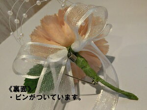 ����������եȡۥ磻��ܥȥ��ѥ��������塡���ˤ�/��ǰ��/������/�ץ쥼���/¤��