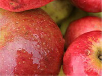 スペイン べレシアルトゥア シードラ・ナチュレ 750ml シードル・中辛口 バスク/微炭酸/りんご 【ワインショップ　ゴリヨン】