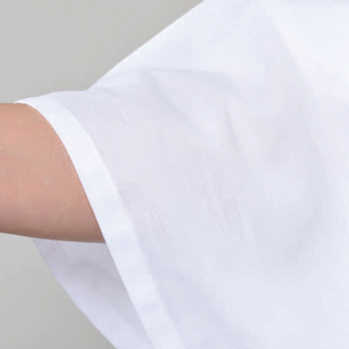 Ⱦ��� ��ǥ����� ȩ�� ���� ��� ��̳���� ������ ���� ���� �ؿ� �礭�������� �ղ� �ղ��� ������ ������ �ե꡼������ ��100�� [���졼��Ⱦ��� ������ (�ե�-������) ������2����] ��Ϸ���� ����� ���ե� �ץ쥼���