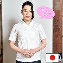 婦人衿付Tシャツ半襦