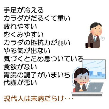 4人前 食べられる薬膳食材5点と薬膳だし スープキット 送料無料【からだ整う 薬膳スープ】薬膳 スープ 手作り 女性 誕生日 プレゼント 無添加 アガリクス なつめ クコの実 薬膳料理研究家開発 国産 健康 食品 妊活 産後 退院祝い 病後 養生 出産祝い 結婚内祝い 快気祝い