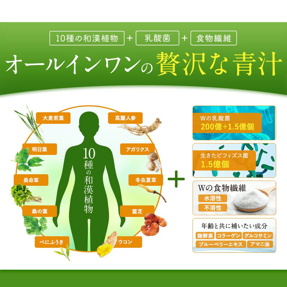 【35%OFF】新生活 体調 健康 乳酸菌 高...の紹介画像2