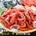 【ふるさと納税で大人気！】共栄丸の国産船内瞬凍甘エビ 甘エビ 国産 中 約550g(約40尾 3-4人前) 甘えび 冷凍 甘エビ ギフト 甘海老 送料無料