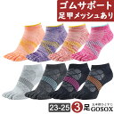 【 5本指 足甲メッシュ 3足 】 レデ