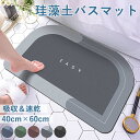 【24H限定！全品10％OFFクーポン配布！】ソフト珪藻土バスマット ノンアスベスト 珪藻土マット ソフトタイプ 速乾 大判 足拭き お風呂 水切りマット キッチン トイレマット お風呂 抗菌 防臭 洗濯不要 衛生的 快適 滑りにくい ずれにくい 吸水 郵3 bm1341