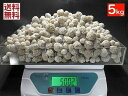 デザートローズ 5kgパック 10〜20mm 砂漠のバラ セレナイトローズ メキシコ直直輸入 全国送料無料