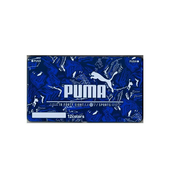 プーマ PUMA 色鉛筆(12色)ケースセット【新入学 文具 文房具 卒園 幼稚園】