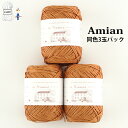 \TIME GOGO/毛糸 まとめ買い 【F612-SET3】アミアン同色3玉パック ペーパーヤーン 紙 並太-極太 編み物 手芸 夏糸 カラー 数量限定 返品...