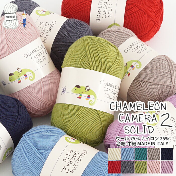 ＼TIME GOGO／毛糸【857】カメレオン カメラ 2 ソリッド ウール ソックヤーン chameleon 単色 輸入糸 合細-中細 編み物 手芸 毛糸ピエロ 返品不可