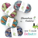 【677】Chameleon Camera（カメレオン カメラ）[毛(防縮ウール)75％ナイロン25％ 合細 95-100g玉巻(約420m) 全16色]