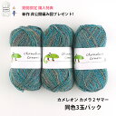毛糸 【F867】カメレオン カメラ 2 サマー 同色3玉パック 合細-中細 ウール コットン ナイロン 輸入糸 段染め ソック 編み物 手芸 毛糸ピエロ 数量...