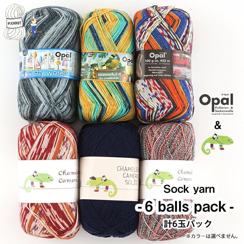 ＼TIME GOGO／ 毛糸 まとめ買い 【SK1】ソックヤーン6玉パック ソックヤーン Opal chameleon 段染め 輸入糸 合細 中細 編み物 手芸 セット 毛糸ピエロ 数量限定 返品不可