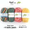 \TIME GOGO/毛糸 まとめ買い 【SK4】ソックヤーン4玉パック ソックヤーン Opal chameleon 段染め 輸入糸 合細 中細 編み物 手芸 セット 毛糸ピエロ 楽天市場店限定企画 数量限定 返品不可