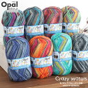 \TIME GOGO/毛糸【KIN-OPC】Opal Crazy Waters オパール クレイジーウォーターズ 4-ply ウール ソックヤーン 輸入糸 中細 段染め 靴下 編み物 手芸 毛糸ピエロ 返品不可