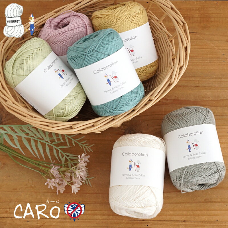 【1257】Caro（カーロ） コットン レーヨン 毛糸 中細 防虫 編み物 手芸 夏糸 毛糸ピエロのサムネイル