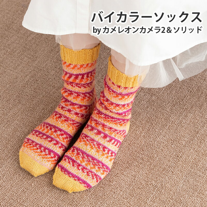 【 編み図公開 / 作品 】856BS バイカラーソックス【856】カメレオンカメラ 2【857】カメレオンカメラ 2 ソリッドモデル身長：166cm2025/9/30のサムネイル