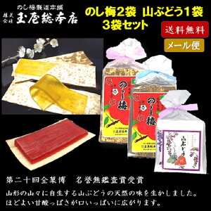 【ネコポス便にて発送】山ぶどう8枚入り1袋＋のし梅5枚入り2袋セット 山形 東北 庄内 お土産 限定 銘菓 有名 玉屋総本店 のしうめ