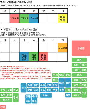 【在庫処分】馬具職人オールハンドメイド丸革チョーク首輪 18m/m×70cm