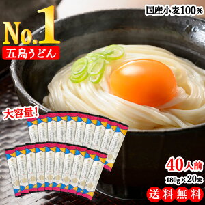 【国産小麦 100% 使用】 虎屋 の 五島うどん 40人前 3600g（180g×20束）