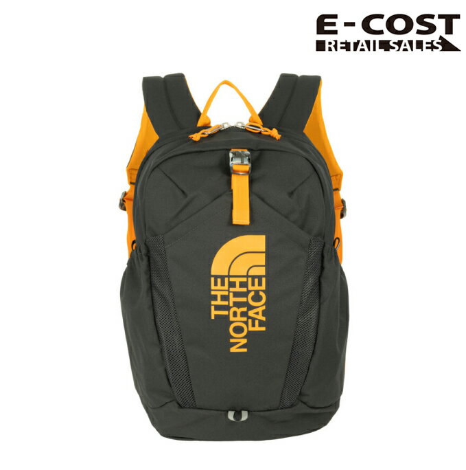 【 コストコ 】ノースフェイス リュック キッズ ジュニア YOUTH MINI RECON ユース ミニ リーコン バックパック THE NORTH FACE NF0A52VX アウトドア [並行輸入品]のサムネイル
