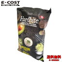 【 コストコ 】ハードバイト わさびランチ 550g