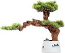 室内装飾用の人工観葉植物 人工杉盆栽の木 高さ18.1インチ フェイク鉢植え デスクディスプレイ ホワイトセラミックポット付き 自宅 オフィスの装飾用 偽の植物