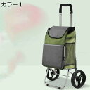 購入15%-30%OFF 老人用 ショッピングカート F キャリーカート ショッピングキャリー 単独使用可 お買い物カート 軽い 折り畳み 2輪 ショッピングバッグ 軽量 静音 階段移動 買い物カート 敬老の日 贈り物 耐荷重 高齢者 カラー3 台車