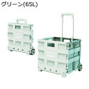 購入25%OFF ショッピングキャリー 買い物カート 折りたたみ 静音 大容量 耐荷重 耐衝撃 おしゃれ 北欧 出張 買い物 旅行 アウトドア適用 老人車 老人...