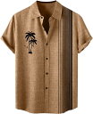 夏服 接触冷感 5 分袖シャツ メンズ 半袖 シャツ メンズ ファッション ボタンアップ シャツ 大きいサイズ メンズ 無地 柔らかい かっこいい ワイシャツ ...