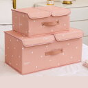 収納ケース 小物 収納BOX 収納ボックス シンプル S フタ付き ふた付き 北欧かわいい 様式2 収納ボックス 衣装ケース ふた付き 蓋付き 衣類収納 おしゃ...