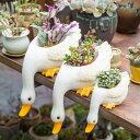 アヒルの植木鉢 動物の形 軽い プランター S ポット 多肉植物 プランター ガーデンポット 樹脂材質 装飾フラワーポット 底穴あり ホーム タイプ1 ガーデン 花栽培適用 観葉植物植木鉢 植物用プラ