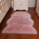 カーペット ラグマット 50x80cm 異型 洗える 耐摩耗性 抗菌防臭 汚れにくい 掃除ラクラク インテリア 室内 玄関 廊下 オールシーズ 厚手 踏み心地良...