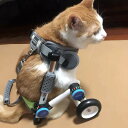 犬用車椅子 調節可能 軽量 犬用車椅子 小型猫用ペットカート ソフトハーネス付き 障害のある動物の弱い後ろ足のリハビリテーショントレーニングを支援 (サイズ : XXS サイズ)