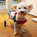 ポータブルペット用車椅子 2輪 サイズ調整可能 犬用車椅子 折りたたみ式 犬用車 使いやすい 後ろ足サポート 犬用車椅子