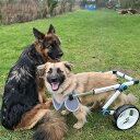 犬用車椅子 中型ペット犬用車椅子 調節可能な障害犬用移動支援ハーネスカート 後足リハビリテーションホイールローリングサポートツール (サイズ : L サイズ)