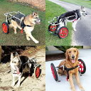 大型犬用調節可能な2輪ペット用車椅子 - 後ろ足のリハビリテーションにステンレススチールフレーム、犬が再び歩けるようになる (サイズ: L、XL)