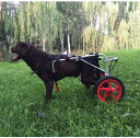 2輪犬用カートホイール調節可能犬用ペット車椅子ペット猫犬用車椅子犬用自転車トレーラーソフト快適後ろ足リハビリテーション用 (サイズ : Xl) (L)