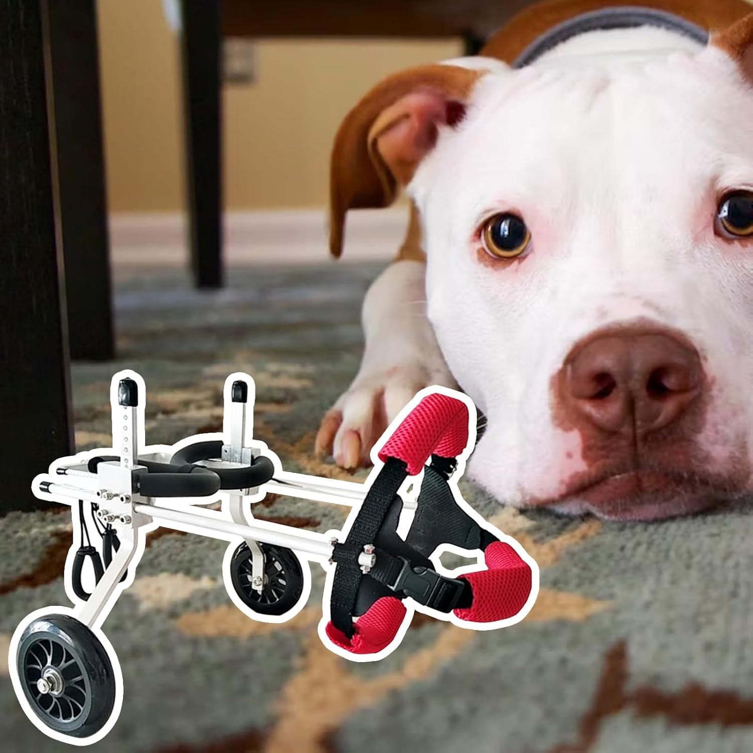 犬用車椅子 調節可能 犬用車椅子 後ろ足用 運動能力回復 ペット用 2輪リハビリテーションカート 障害犬..