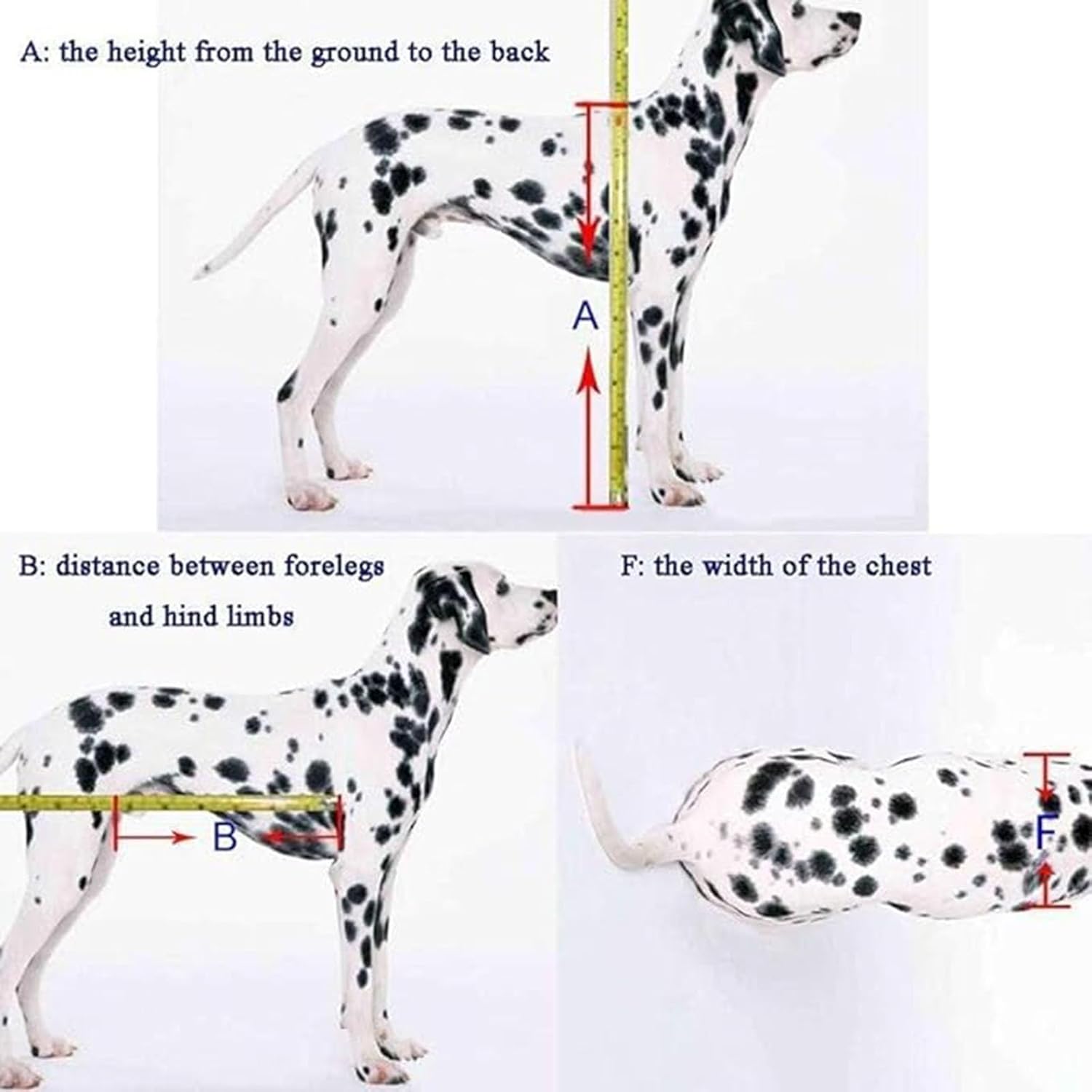 �ڥåȥۥ����� �緿���Ѽְػ� Ĵ���ǽ�ʸ��ѥڥåȼְػ� ��ӥ�ϥӥ�ơ������ ��ӥ��ݡ��� L