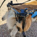 犬用車椅子 身体障害者用犬用車椅子、青いペット補助歩行器、運動能力が制限された動物のための後足リハビリテーションペットカート、お手入れとお手入れが簡単 (サイズ...