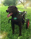 犬用車椅子 ペットカート 犬用車椅子 後ろ足用犬用車椅子 大型プレミアム歩行ホイール 後ろ足リハビリテーション ペット用品 ヘルプエムアップハーネス (サイズ : LA)