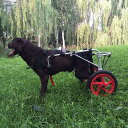ペット大型犬用後足車椅子、調節可能なフルサポートペット車椅子、犬用ベビーカー後足と足のリハビリテーション(L、XL)