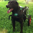 リハビリテーションペット用車椅子、犬の脚のサポートとヒップのサポートに適しており、軽量の犬用車椅子、麻痺した脚の障害に適しています