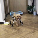 アルミペット用車椅子 調節可能な犬用カート 補助リハビリ活動犬用車椅子 実用犬用後脚車椅子