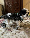 犬用車いす 全脚ペット用移動用車椅子サポートツール - 4輪、 障害者用小型/中型/大型犬用歩行器リハビリテーション機器、 取り付けビデオあり(Small)