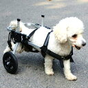 調節可能な2輪ペット用車椅子、後足リハビリ用ペットリハビリカート、後足に障害のある犬や猫用のトレーニングホイール